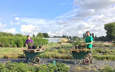 Het Liessenhuus bij Bloemendaal.